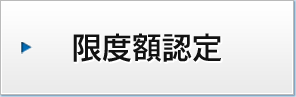 限度額認定