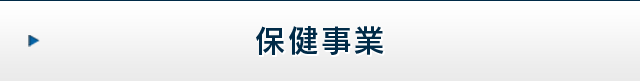 保健事業